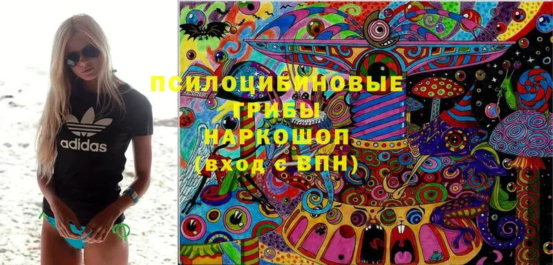 Псилоцибиновые грибы MAGIC MUSHROOMS  Райчихинск 